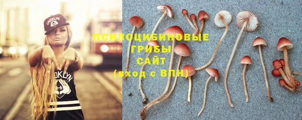 эйфоретик Новокубанск